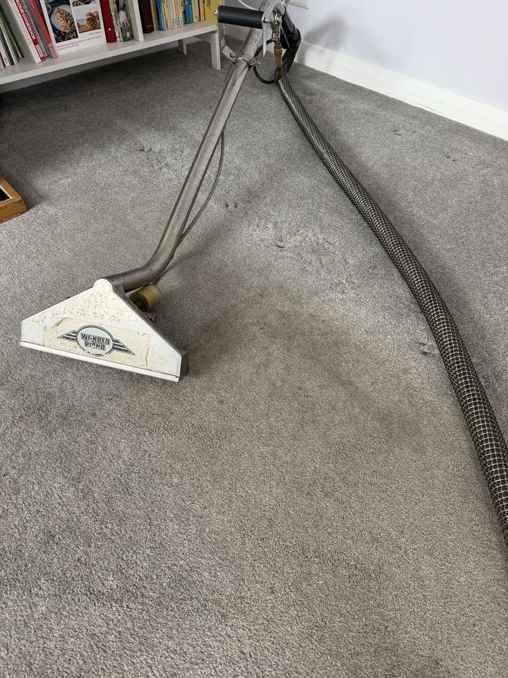 A carpet cleaning wand mid-room, the cleaned strip visibly lighter than the rest